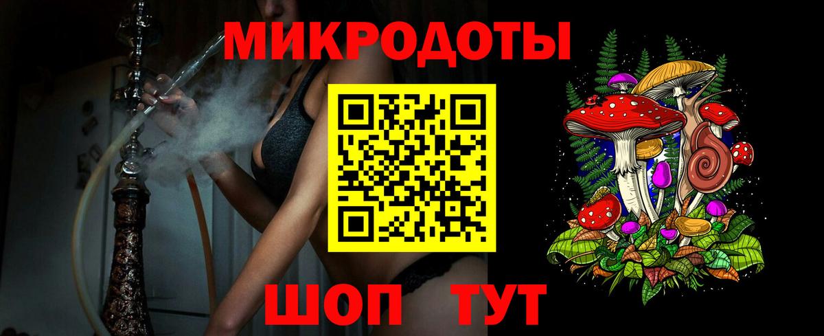 Галлюциногенные грибы GOLDEN TEACHER  где можно купить   Камышин  Вход с VPN 